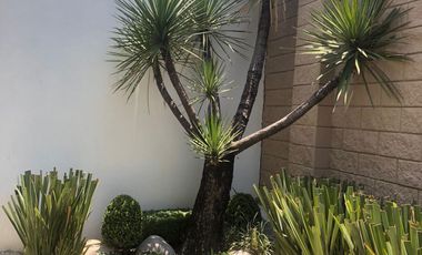 HERMOSA CASA EN  RENTA EN PUEBLA  LOMAS DE ANGELOPOLIS