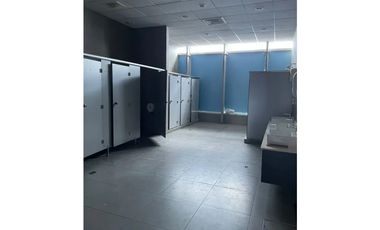 Se Alquila Local 457 Mts P/ta Pacífica USD$7,016,06