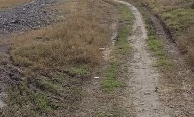 DIJUAL TANAH SAWAH DAN GUDANG PENGGILINGAN PADI BENJENG GRESIK