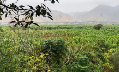 Venta De Terreno Lunahuana