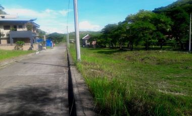 Affordable 160 Sqm Lot for Sale in Aspen Heights Consolacion Cebu