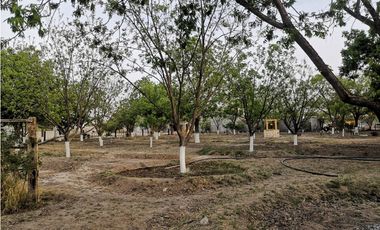 Terreno en venta en Parras