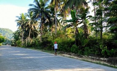 Attention all investors and entrepreneurs! Wake Park Property is proud to present a once in a lifetime opportunity to own a 1 Ha. (10,000 Sq.M.) Highway Frontage Titled Lot in the beautiful and sought-after location of Siargao Island, Surigao Del Norte, Philippines.
