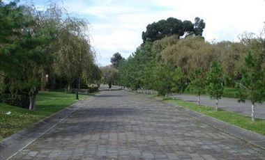 ZINACANTEPEC VALLE DE ZAMARRERO