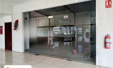 Alquilo gran local comercial en Bugaba! Plaza comercial céntrica