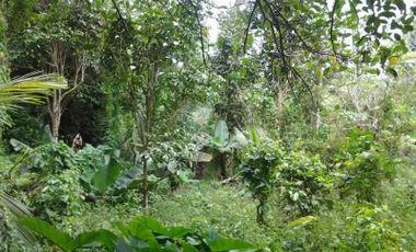 For Sale: Farm / Residential Lot in Cavite