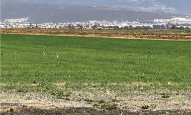 Terreno 6.5 hectáreas en Blvd. Las Torres, Pachuca – Zona Explanada