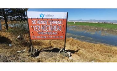 Terreno 6.5 hectáreas en Blvd. Las Torres, Pachuca – Zona Explanada