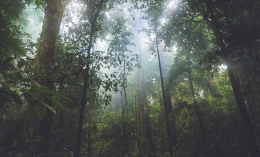 Departamento - La Villa