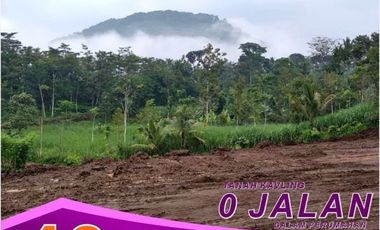 Tanah dijual di Jawa Timur, Jombang