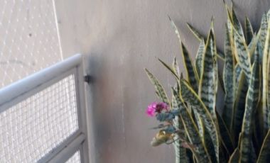 Departamento en venta en Sarandi Este