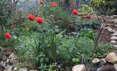 Agrícola en Venta en Espectacular Isla en el Lago Las Rocas, Puelo Alto