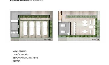 TH Temozon 30 30