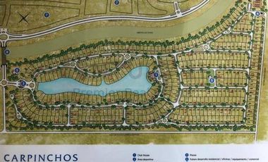 Lote en venta en barrio Los Carpinchos, Nordelta
