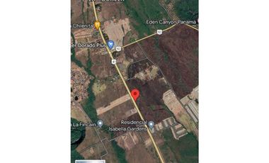 VENDO TERRENO DE 38072 M2 VIA PRINCIPAL BOQUETE
