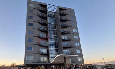 Oficina corporativa en renta. Edificio Alpha, Campos Eliseos