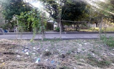 Last Remaining Lot 230 Sqm for Sale at Lapulapu City Cebu Villas Magallanes