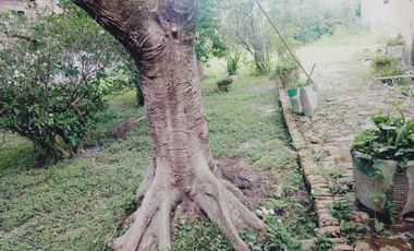 VENTA SANTA LUCIA, DTO LAVALLE. CALLE  REPUBLICA DEL LIBANO 500 CASA EN PLANTA BAJA 3 HABITACIONES GARAGE 836m2 TERRENO