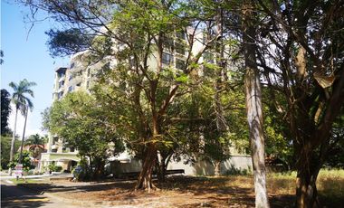 Se Vende Terreno en Amador