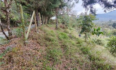 Lote en caldas la Miel Buena Vista
