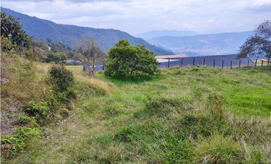 Lote en caldas la Miel Buena Vista
