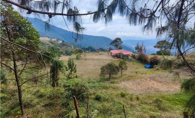 Lote en caldas la Miel Buena Vista