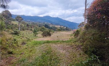 Lote en caldas la Miel Buena Vista