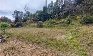 Lote en caldas la Miel Buena Vista