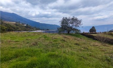 Lote en caldas la Miel Buena Vista