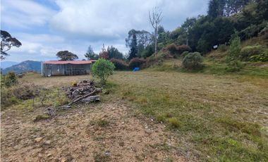 Lote en caldas la Miel Buena Vista