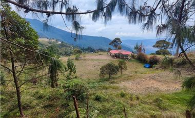Lote en caldas la Miel Buena Vista