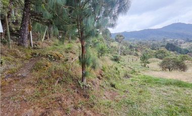 Lote en caldas la Miel Buena Vista