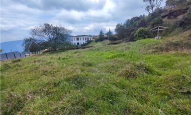 Lote en caldas la Miel Buena Vista