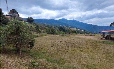 Lote en caldas la Miel Buena Vista