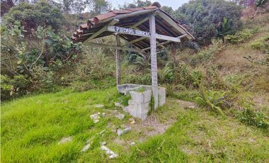 Lote en caldas la Miel Buena Vista