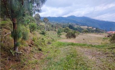 Lote en caldas la Miel Buena Vista