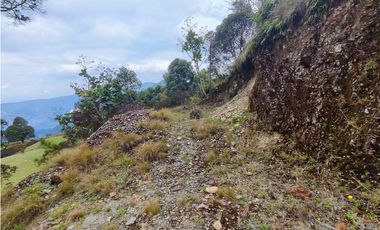 Lote en caldas la Miel Buena Vista