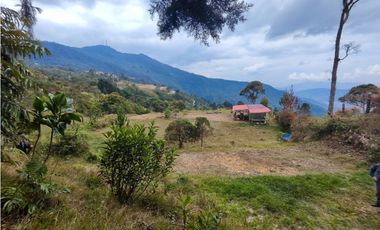 Lote en caldas la Miel Buena Vista