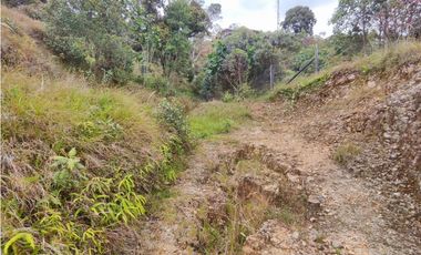 Lote en caldas la Miel Buena Vista