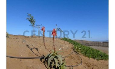 Se vende sitio en Morrillos 2da fila desde 6500 UF