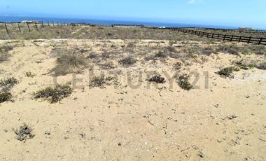 Se vende sitio en Morrillos 2da fila desde 6500 UF