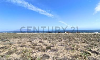 Se vende sitio en Morrillos 2da fila desde 6500 UF