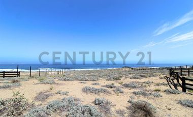 Se vende sitio en Morrillos 2da fila desde 6500 UF