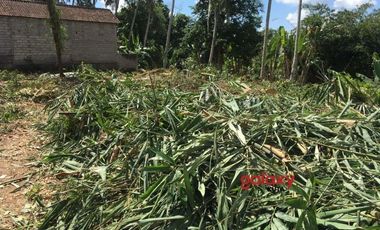 DIJUAL TANAH DANGIN YEH ABIANBASE MENGWI BADUNG, BALI