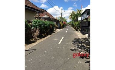DIJUAL TANAH DANGIN YEH ABIANBASE MENGWI BADUNG, BALI