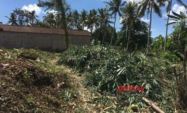 DIJUAL TANAH DANGIN YEH ABIANBASE MENGWI BADUNG, BALI