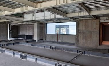 ABILIA campos eliseos