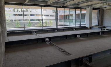 ABILIA campos eliseos