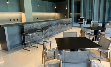 ABILIA campos eliseos