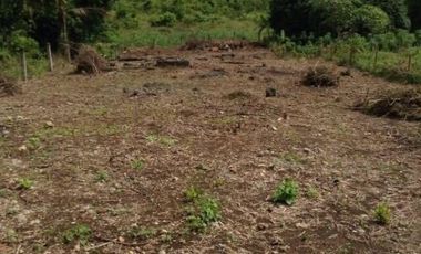 For Sale: Farm Land in Bohol